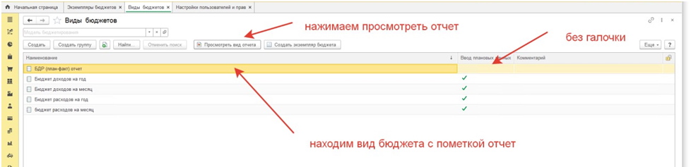 Выбор отчёта в видах бюджета