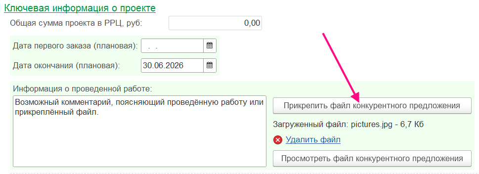 Ключевая информация о проекта, функция прикрепить файл конкурентного предложения